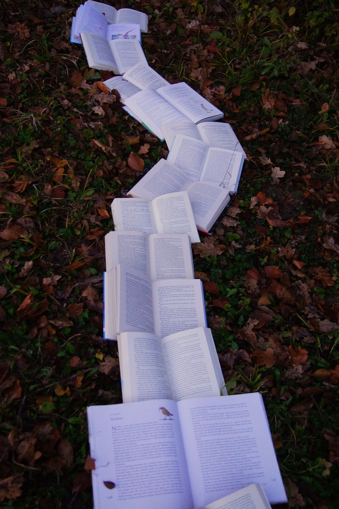A trail of open books laid out end to end across grass and fallen leaves.