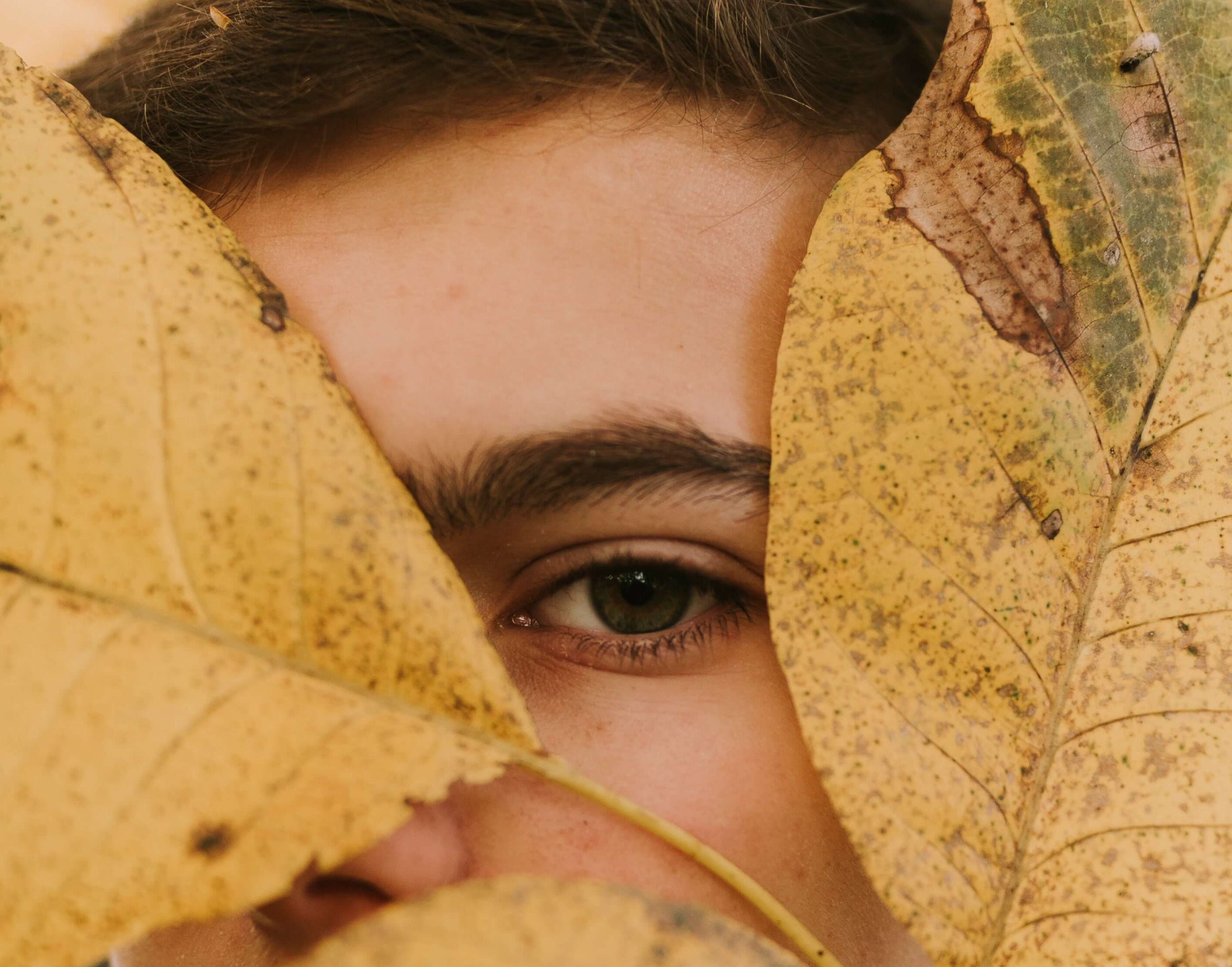 A close-up of a face mostly hidden behind two large dried leaves, with one eye visible between them.