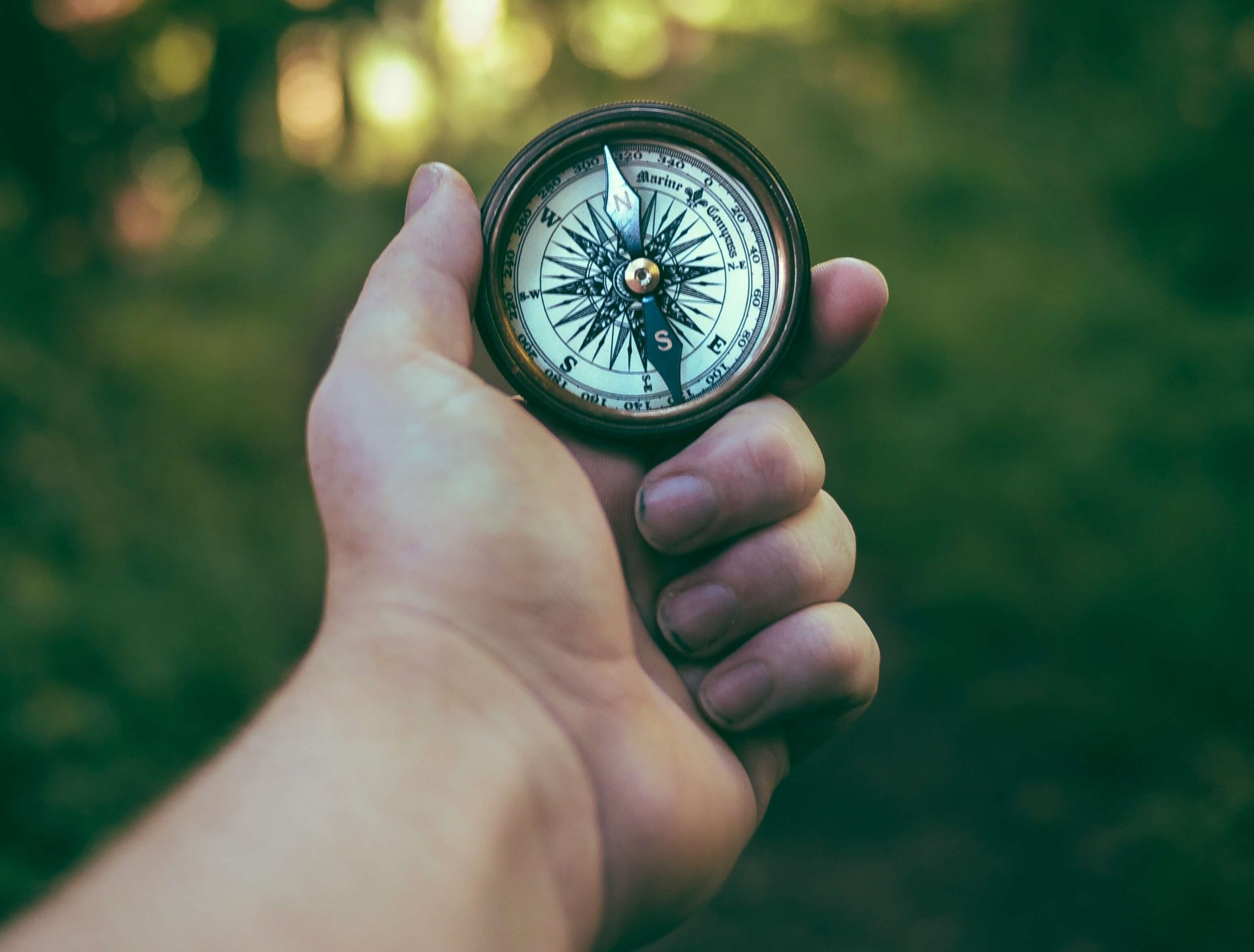 An open hand holding a compass, with blurred woodland behind.