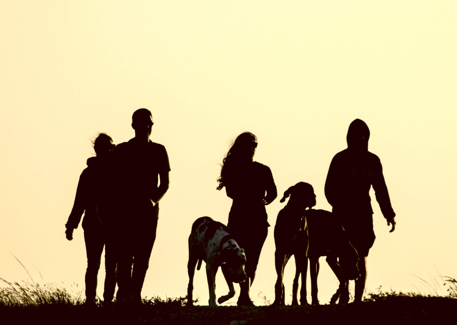 How reactive attachment disorder impacts the whole family, not just the child
