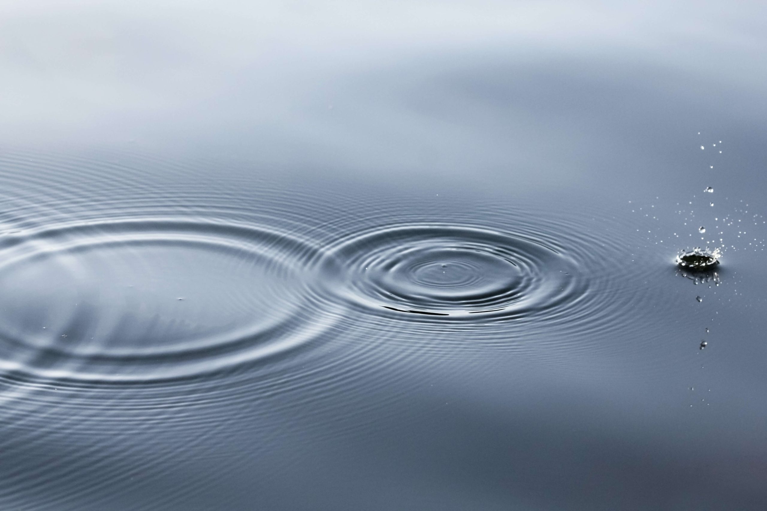 Concentric ripples spreading across still grey water where something has just landed.